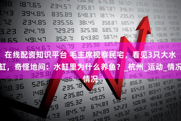 在线配资知识平台 毛主席视察民宅，看见3只大水缸，奇怪地问：水缸里为什么养鱼？_杭州_运动_情况
