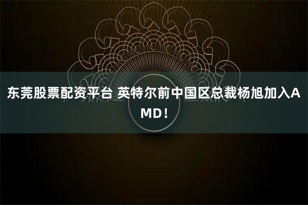 东莞股票配资平台 英特尔前中国区总裁杨旭加入AMD！
