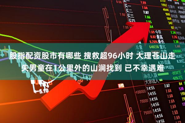 股指配资股市有哪些 搜救超96小时 大理苍山走失男童在1公里外的山涧找到 已不幸遇难
